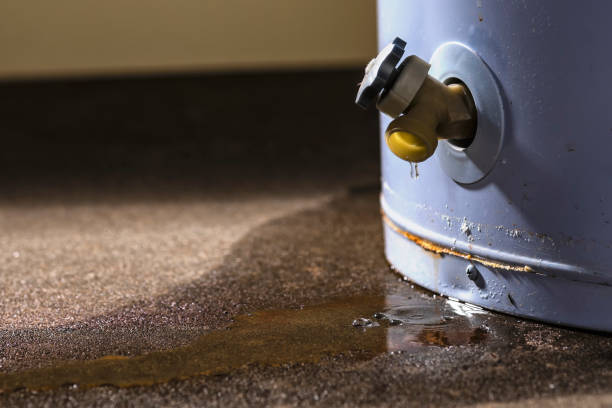 Best Water damage restoration near me  in Luray, VA
