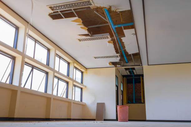 Best Water damage restoration near me  in Luray, VA