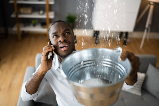 Best Commercial water damage restoration  in Luray, VA