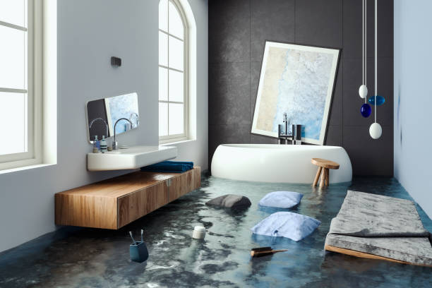 Best Flood restoration services  in Luray, VA
