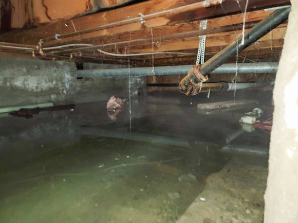 Best Water damage restoration near me  in Luray, VA