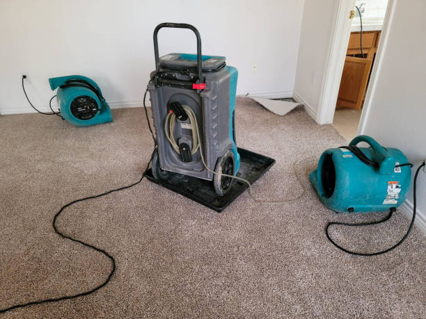 24/7 water damage repair in Luray, VA