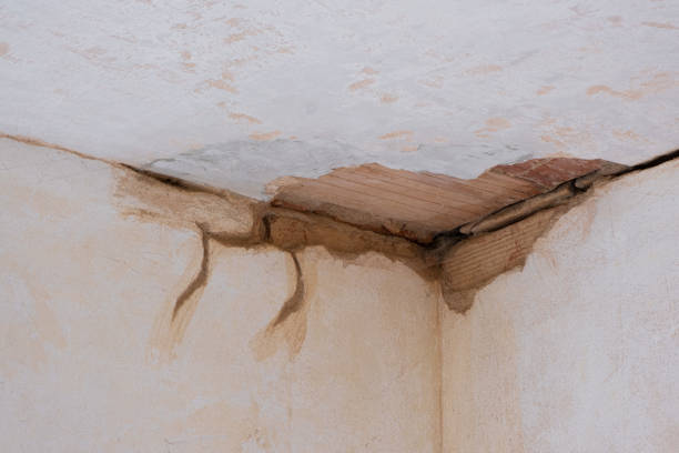 Best Water damage restoration cost  in Luray, VA