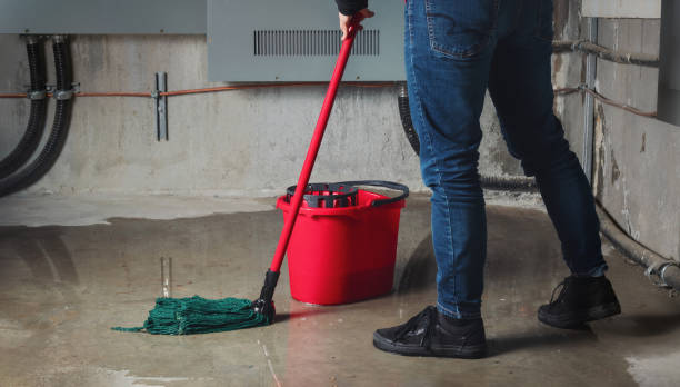 Best Commercial water damage restoration  in Luray, VA
