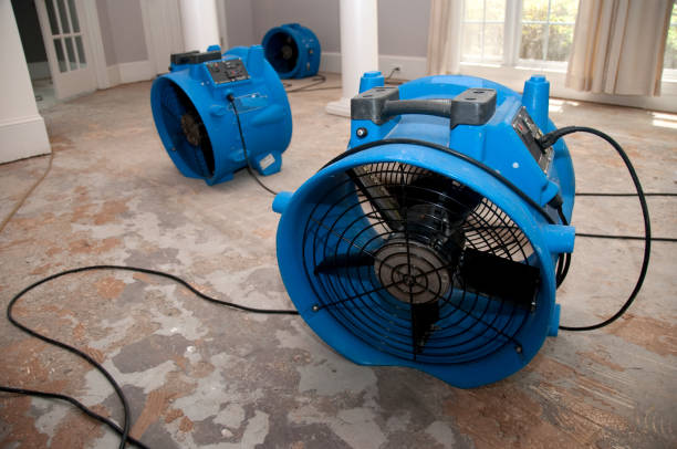 Best Residential water damage restoration  in Luray, VA