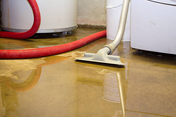 Best Flooded house restoration  in Luray, VA