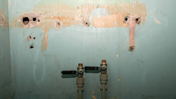 Water damage restoration mold remediation in Luray, VA
