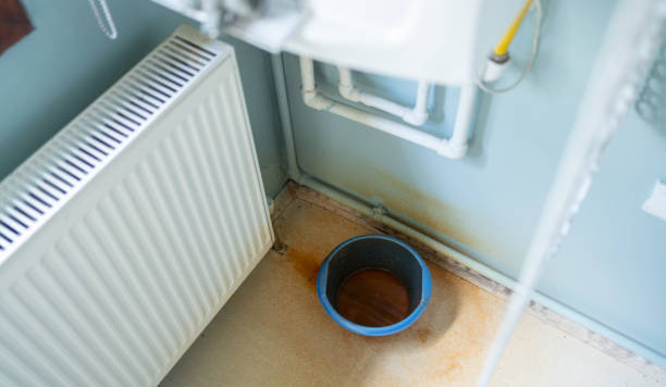 Best Professional water damage repair  in Luray, VA