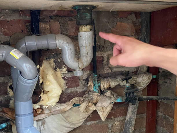Best 24-hour water damage restoration  in Luray, VA