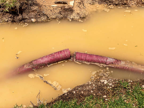 Best Water damage restoration mold remediation  in Luray, VA
